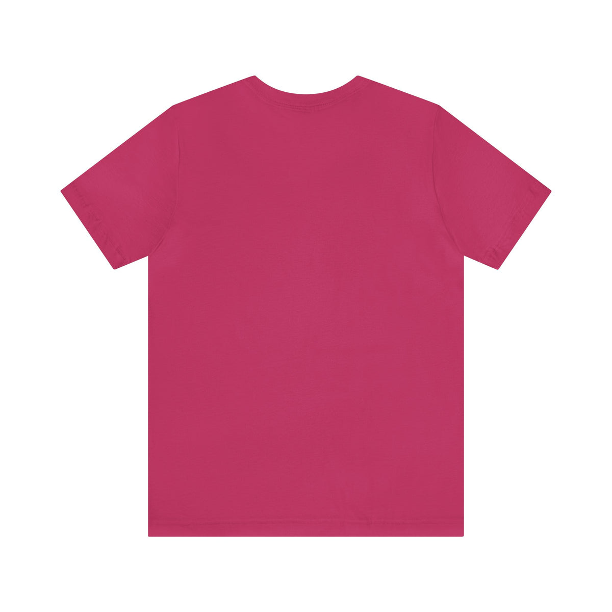 Bullshitters Inc t-shirt – view 13 | Dr. Frank's Garage