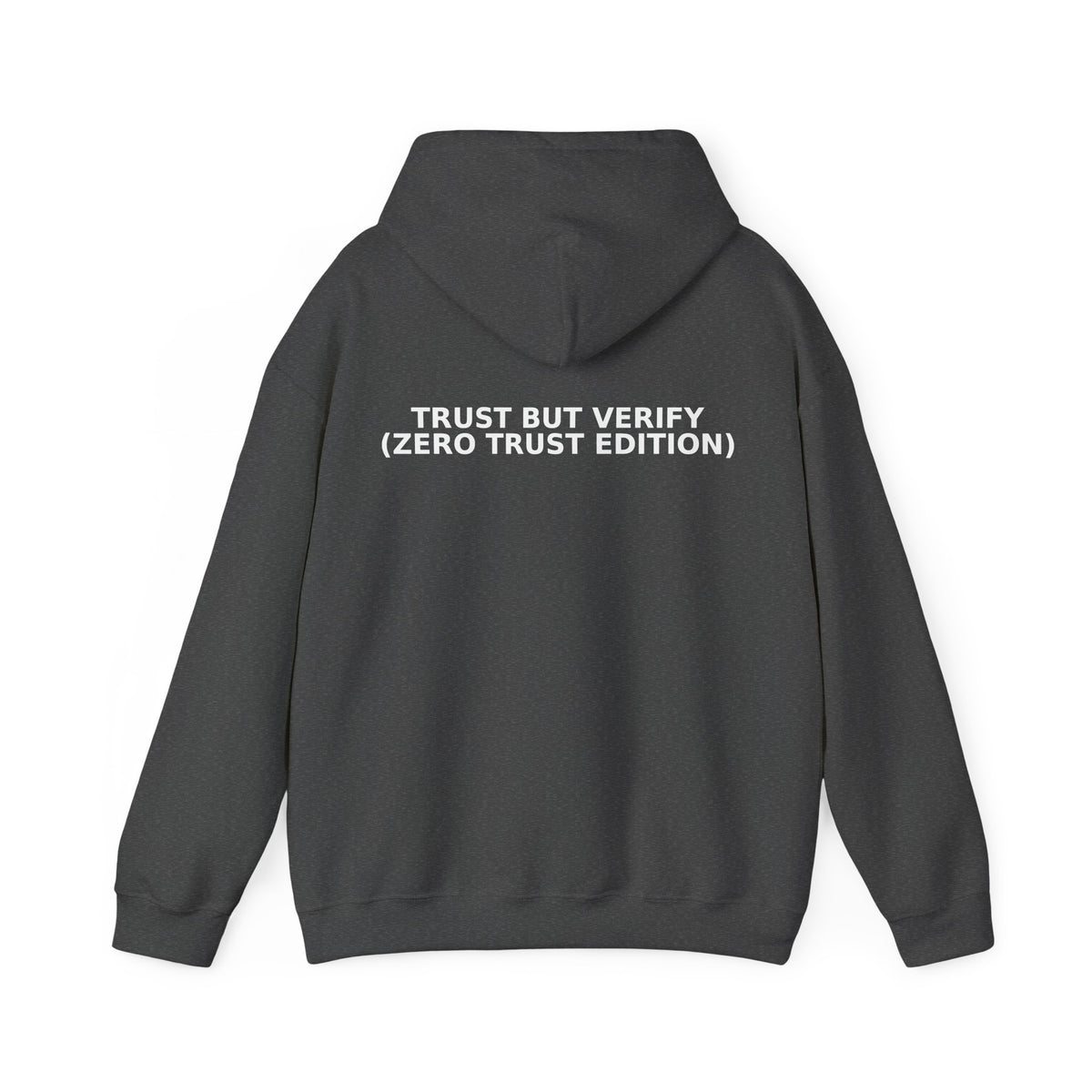 Zero Trust Hoodie - Dr. Frank's Garage