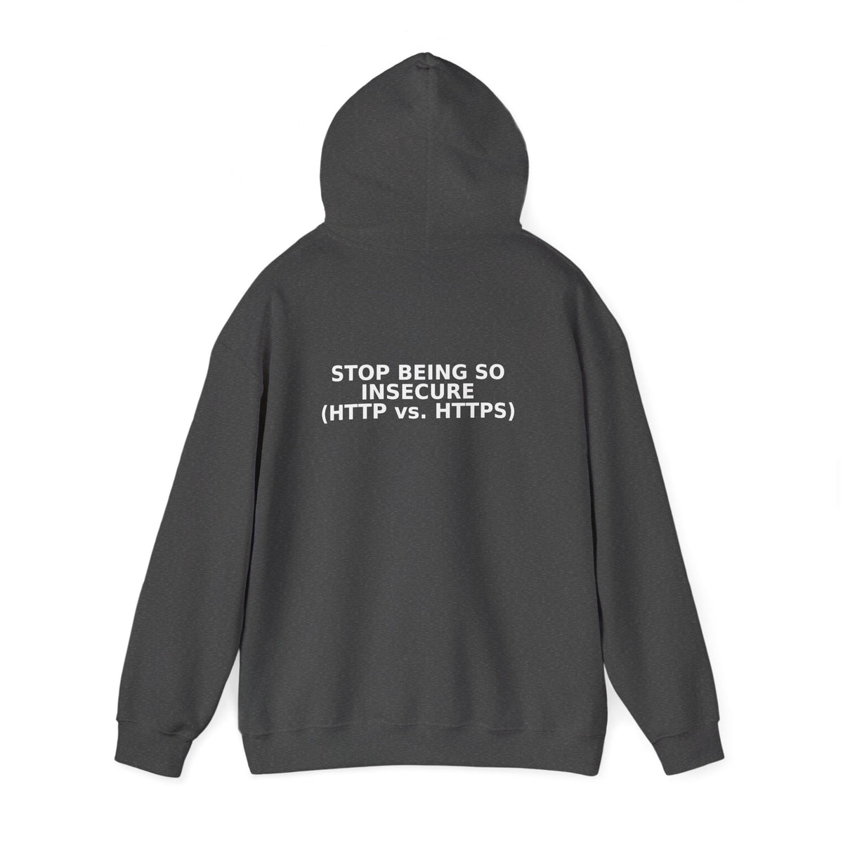 HTTP vs HTTPS Hoodie - Dr. Frank's Garage