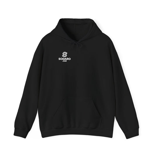 Honey Pot Cyber Hoodie in Black – Cyber IT Funnies line by Dr. Frank's Garage